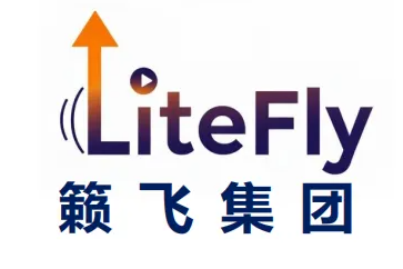 ​籁飞集团